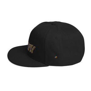 Ant's Remix Snapback