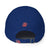 Biani Dad hat
